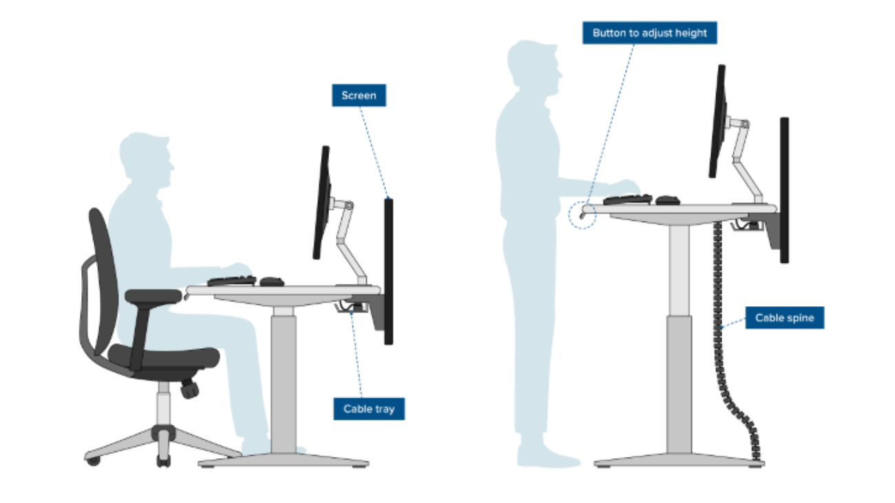 OFFICE-ERGONOMICS—WHAT-IT-IS-AND-WHY-IT-MATTERS